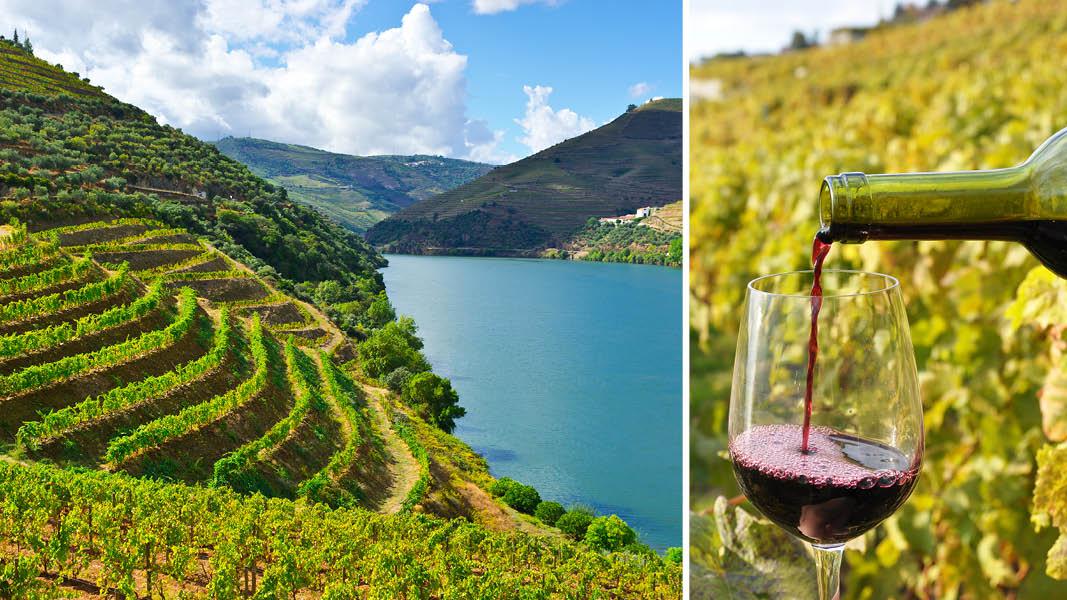 Vinmarkerne i Douro-dalen